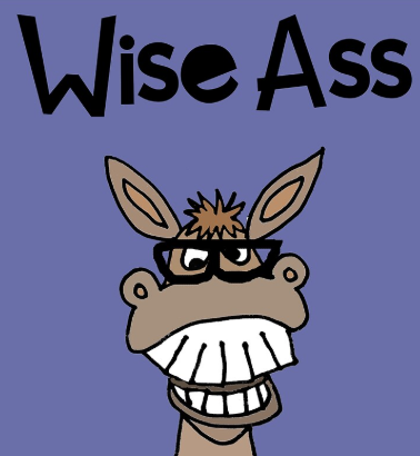 donkey's avatar