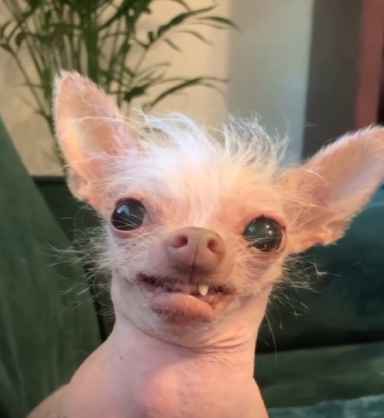 xxalicexx's avatar