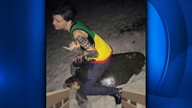 Florida Woman Apologizes For Squatting Over Sea Turtle