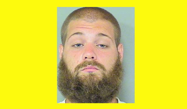 Florida man ran over a family of ducklings with lawnmower on purpose